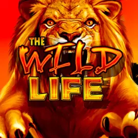 Wild Life Slot For Real Money