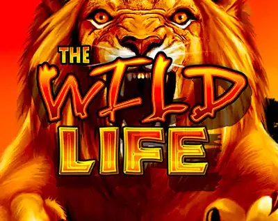 Wild Life Slot For Real Money